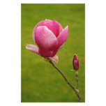 Magnolia Stationery