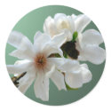 Magnolia Stellata Envelope Seal Sticker