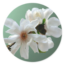 Magnolia Stellata Envelope Seal Sticker by TDSwhite_Wedding Magnolia Stellata Envelope Seal Sticker