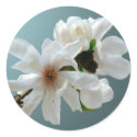 Magnolia Stellata Envelope Seal Sticker