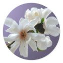 Magnolia Stellata Envelope Seal Sticker by TDSwhite_Wedding Magnolia Stellata Envelope Seal Sticker