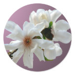 Magnolia Stellata Envelope Seal Sticker