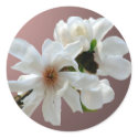 Magnolia Stellata Envelope Seal Sticker