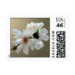 Magnolia Stellata Event And Wedding Stamps Small