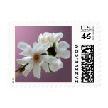 Magnolia Stellata Event And Wedding Stamps Small