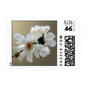 Magnolia Stellata Event And Wedding Stamps Small