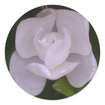 Magnolia Sticker by Mikale2008 Magnolia Sticker