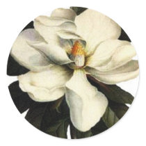 Magnolia - Sticker by dchaddad Magnolia - Sticker
