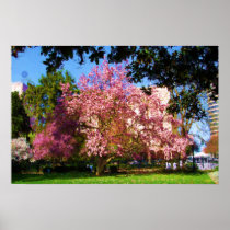 Magnolia Three Poster posters
