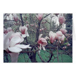 Magnolia Time Card