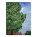 Magnolia Tree At City Park posters by figstreetstudio Magnolia Tree At City Park posters