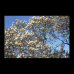 Magnolia Tree canvas prints