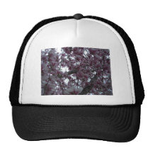 Magnolia Tree in Bloom Mesh Hat