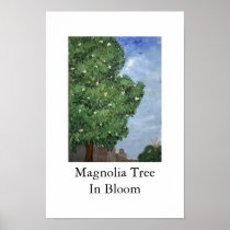 Magnolia Tree In Bloom posters
