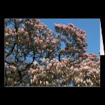 Magnolia Tree in Blossom cards