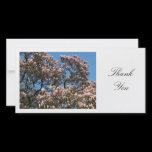 Magnolia Tree in Blossom - Thank You photo cards
