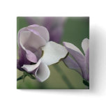 Magnolia Tree Pin buttons