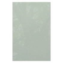 Magnolia Tree Stationary stationery