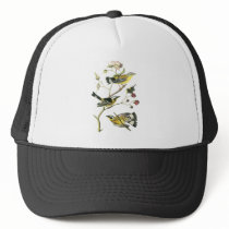 Magnolia Warbler, John Audubon Hats