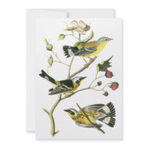 Magnolia Warbler, John Audubon Custom Invites