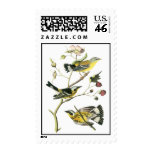 Magnolia Warbler, John Audubon Postage