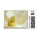 MAGNOLIA Wedding Coordinate RSVP Postage postage by dizzypixels MAGNOLIA Wedding Coordinate RSVP Postage postage
