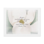 Magnolia Wedding Reception Card Invitation