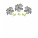 t-shirts, tops, womens' apparel, fashion,