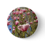 Magnolias in Bloom buttons