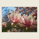 Magnolias in Bloom Card cards