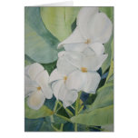 Magnolias in Texas  Greeting Card