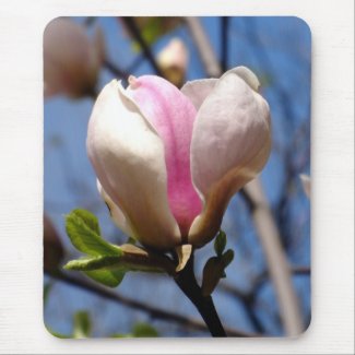 Magnolias Mouse Pad