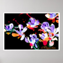 Magnolias, poster
