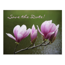 Magnolias, Save the Date! Postcard