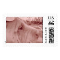 Magnus Maximus postage by lala17143 Magnus Maximus postage