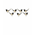 magpies dancing magpies t-shirts
