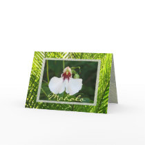 Mahalo cards