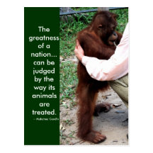 Mahatma Gandhi's animal quote Post Cards