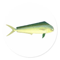 Mahi Mahi - Dolphin Fish Art stickers