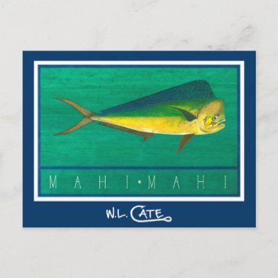 Mahi-Mahi Postcards