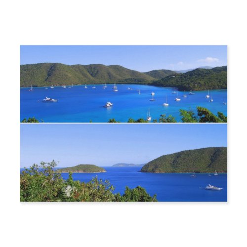 Maho Bay Collage, St. John, U.S.V.I. Postcard postcard