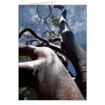 Mahogany Tree Greeting Card