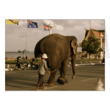 Mahout and Elephant II Cards