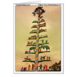 Maibaum Tree, Fredericksburg, TX Cards