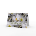 Maid Of Honor Card by NormaJean35 Maid Of Honor Card