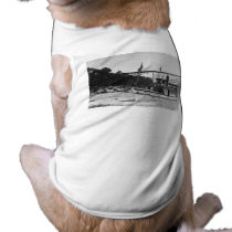 Maid of the Mist - Vintage, circa 1900-1920 pet clothing