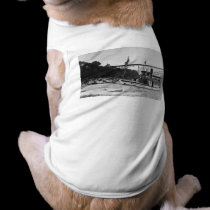 Maid of the Mist - Vintage, circa 1900-1920 pet clothing