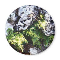Maiden Hair Fern magnets by Sky_Blue_Photography Maiden Hair Fern magnets