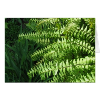 Maidenhair Ferns Father's Day Card