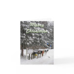 Mail Carrier's Christmas Card